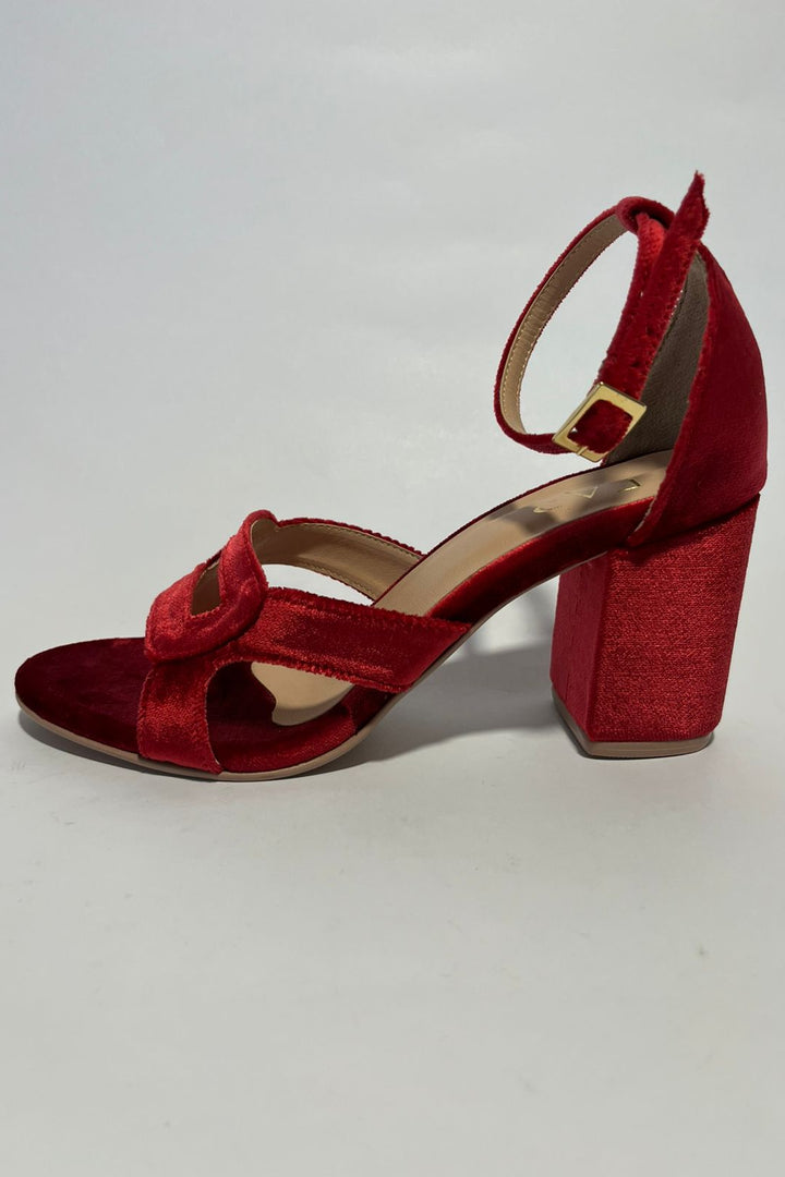 DIANA ROJO CHERRY S/P